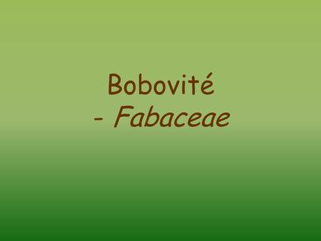 Bobovité - Fabaceae.