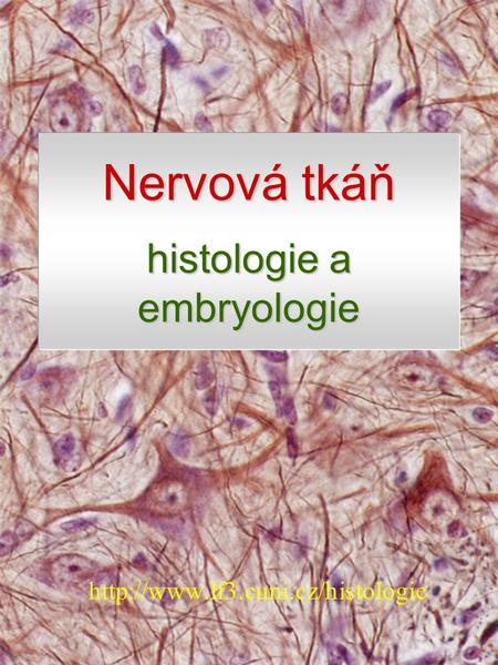 Nervová tkáň histologie a embryologie