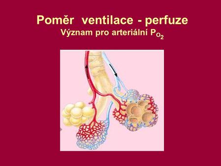 Poměr ventilace - perfuze Význam pro arteriální PO2