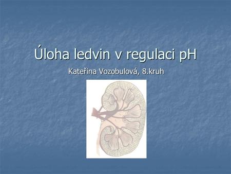 Úloha ledvin v regulaci pH