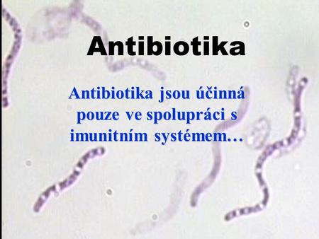 Antibiotika jsou účinná pouze ve spolupráci s imunitním systémem…
