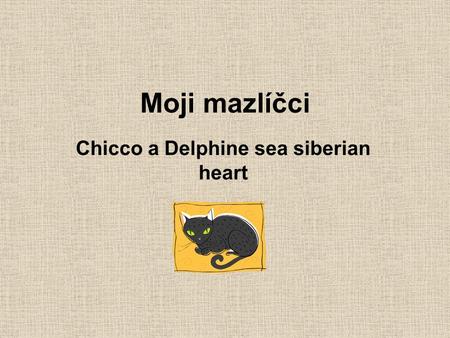 Moji mazlíčci Chicco a Delphine sea siberian heart.
