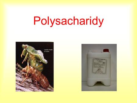 Polysacharidy.