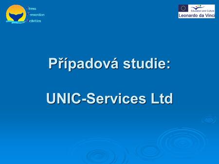 Případová studie: UNIC-Services Ltd. Firma UNIC-Services  Založena roku 1993 IT pracovníkem, jménem Saara Remes-Ulkunniemi  Firma nabízí vzdělávací.