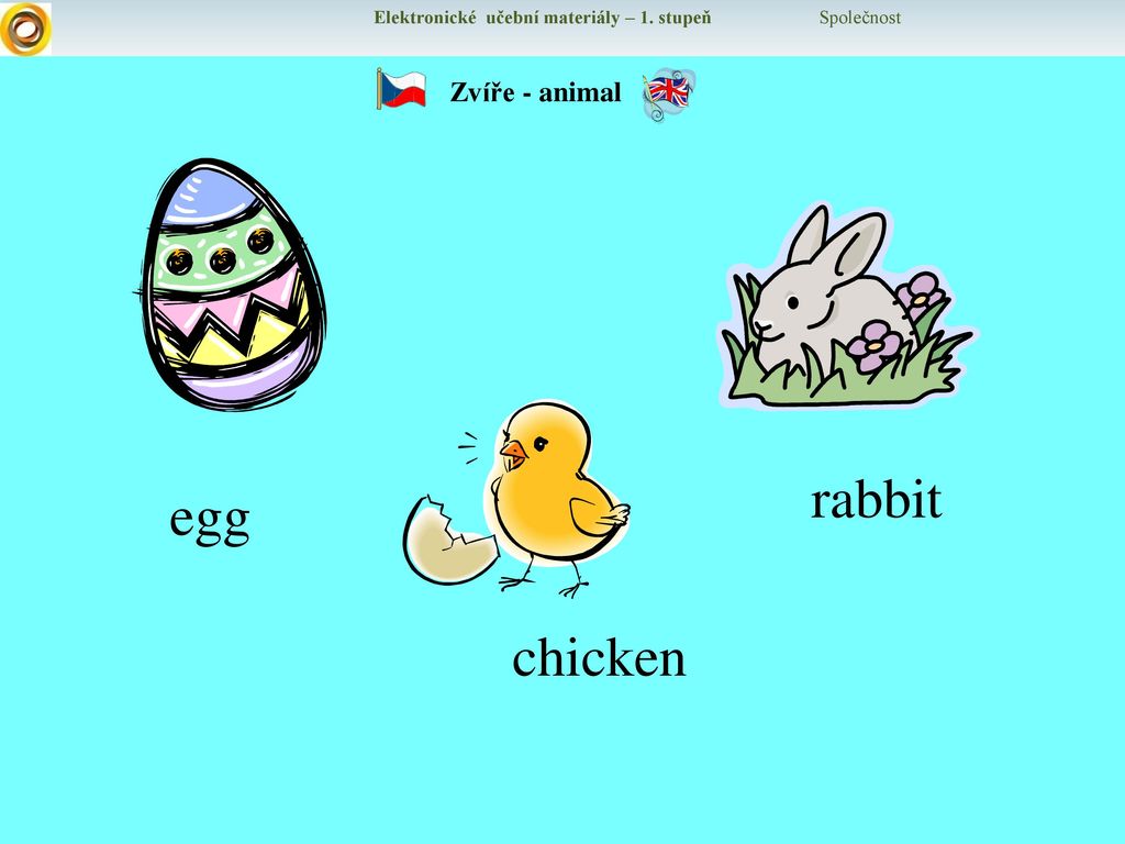 rabbit egg chicken Zvíře - animal