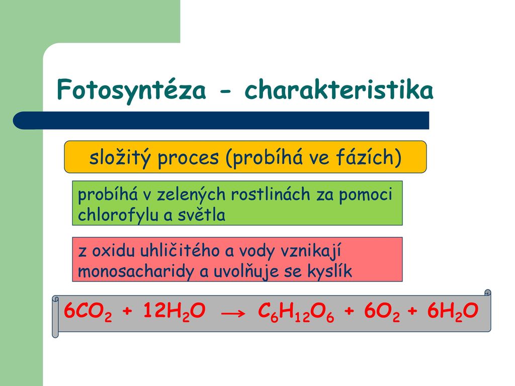 Fotosyntéza - charakteristika