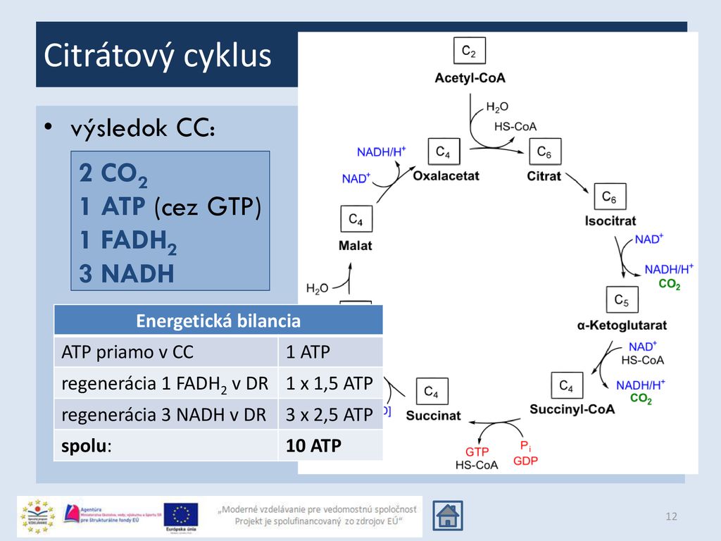 Citrátový cyklus výsledok CC: 2 CO2 1 ATP (cez GTP) 1 FADH2 3 NADH