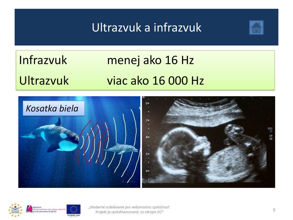 Ultrazvuk a infrazvuk Infrazvuk menej ako 16 Hz