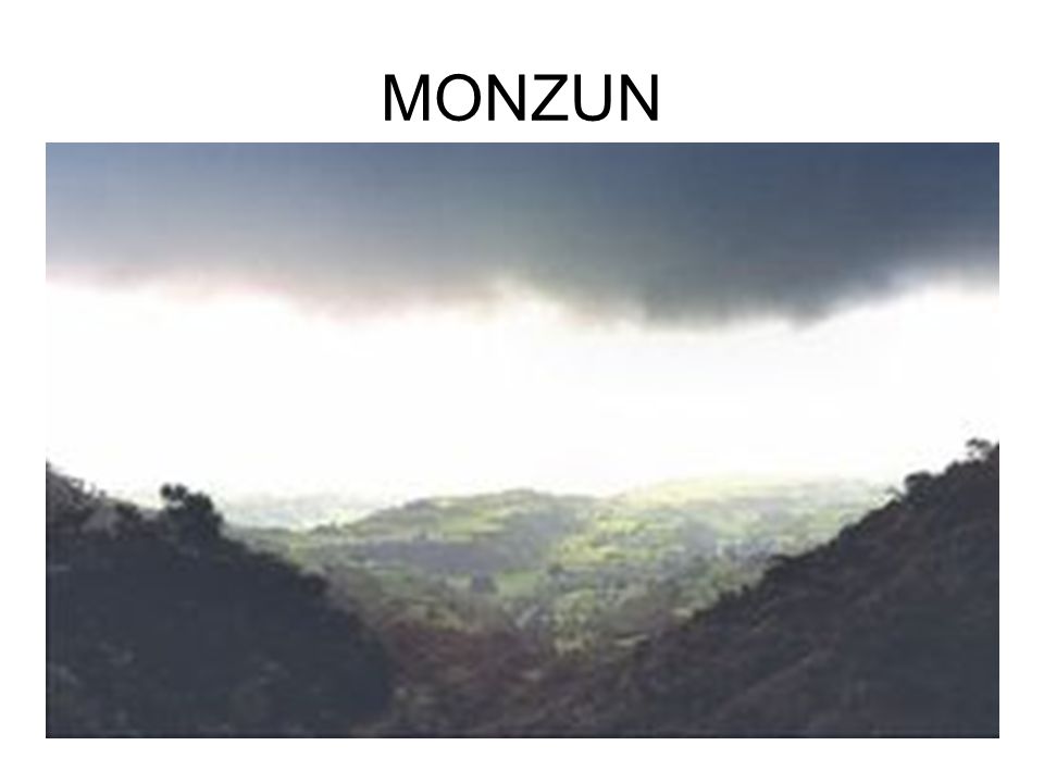 MONZUN
