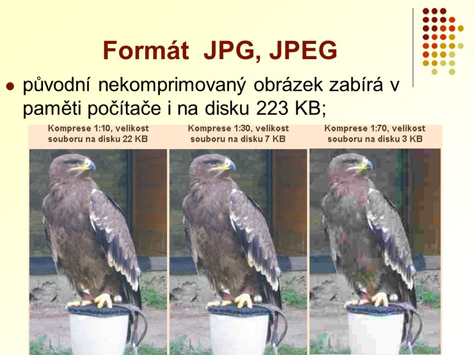 Formát JPG, JPEG původní nekomprimovaný obrázek zabírá v paměti počítače i na disku 223 KB;