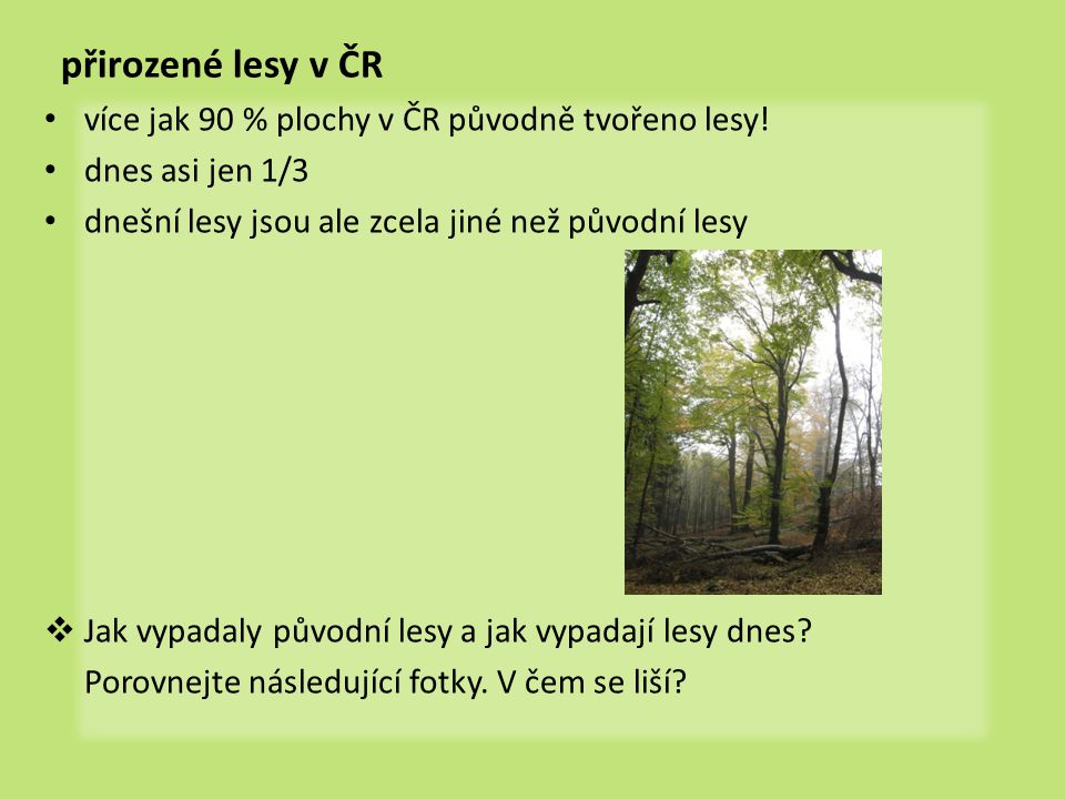 přirozené lesy v ČR více jak 90 % plochy v ČR původně tvořeno lesy!