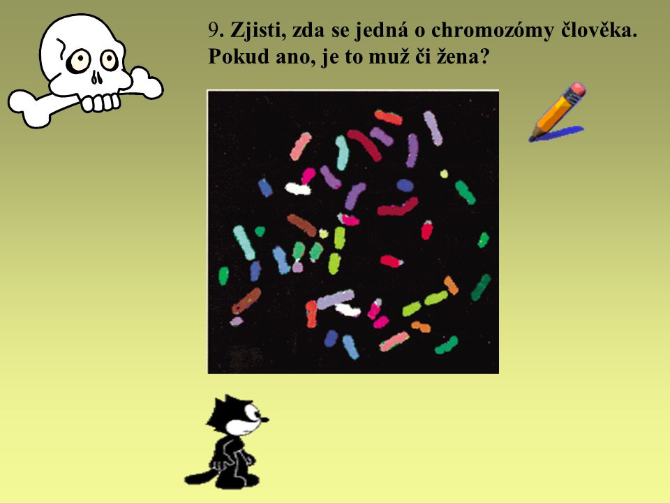 9. Zjisti, zda se jedná o chromozómy člověka