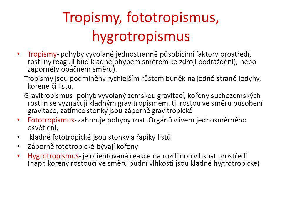 Tropismy, fototropismus, hygrotropismus