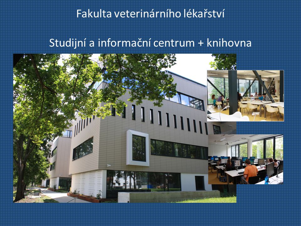 Fakulta veterinárního lékařství Studijní a informační centrum + knihovna