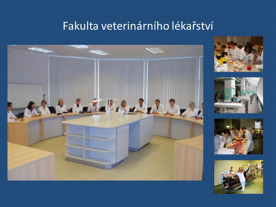 Fakulta veterinárního lékařství