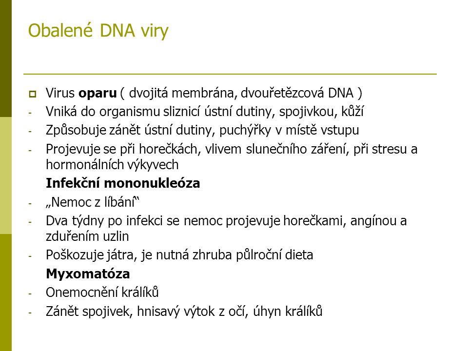 Obalené DNA viry Virus oparu ( dvojitá membrána, dvouřetězcová DNA )