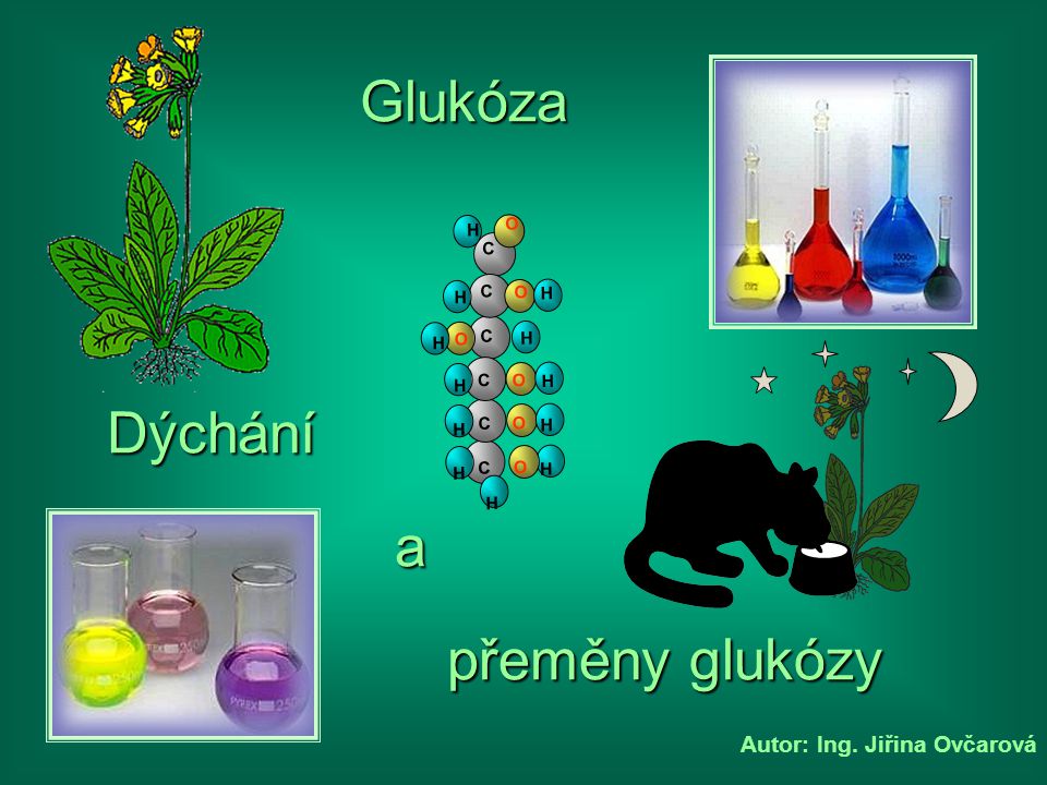 Glukóza C H O Dýchání a přeměny glukózy Autor: Ing. Jiřina Ovčarová