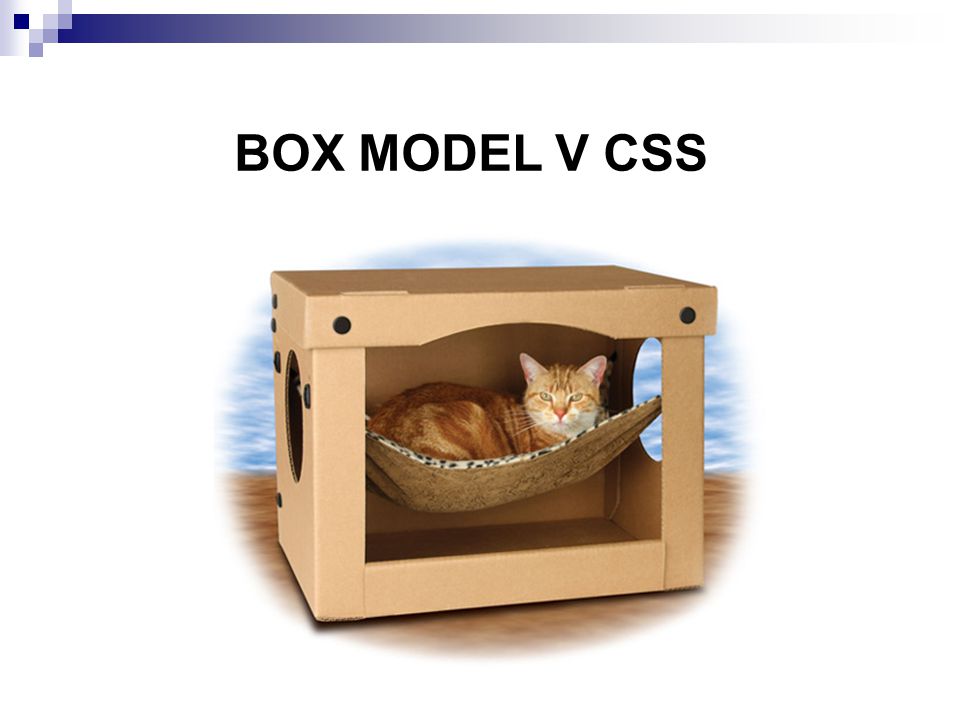 BOX MODEL V CSS