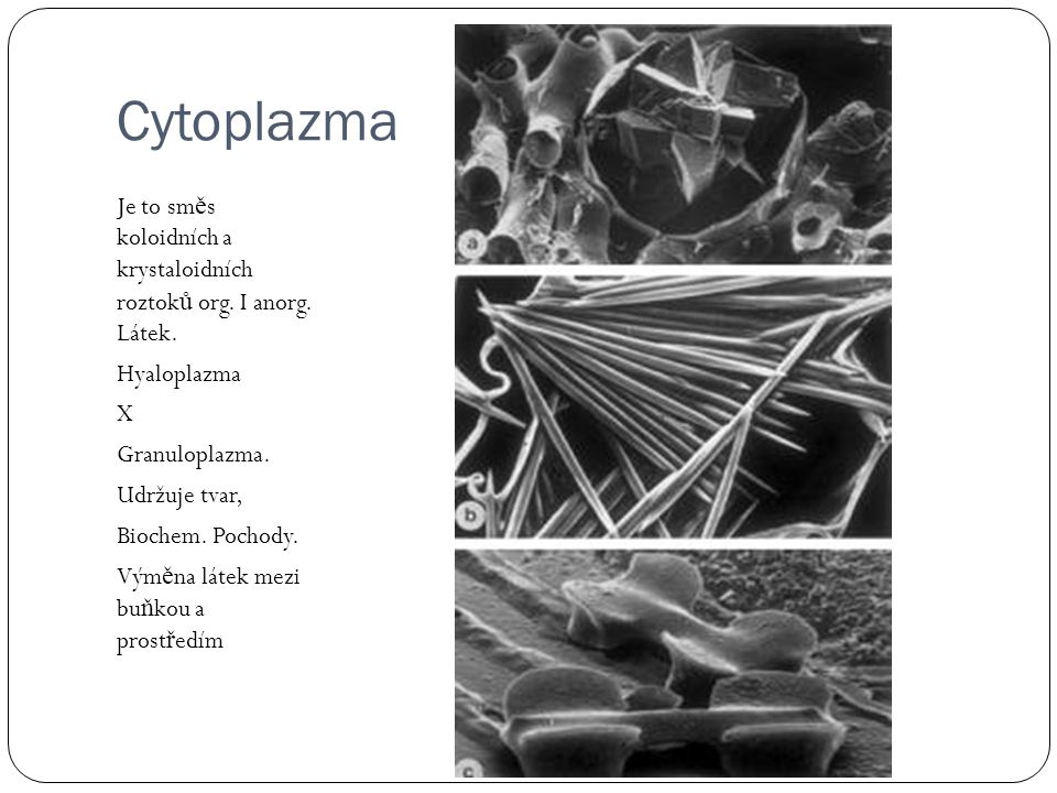 Cytoplazma Je to směs koloidních a krystaloidních roztoků org. I anorg. Látek. Hyaloplazma. X.