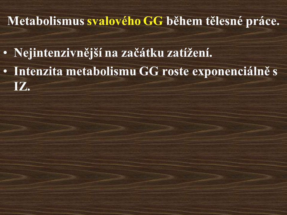 Metabolismus svalového GG během tělesné práce.
