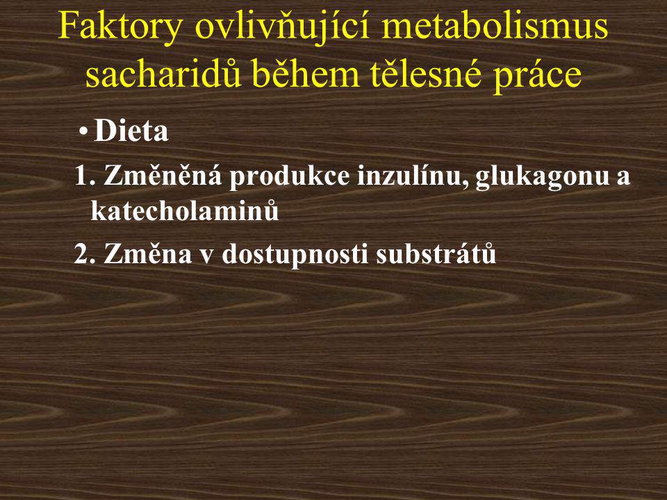 Faktory ovlivňující metabolismus sacharidů během tělesné práce