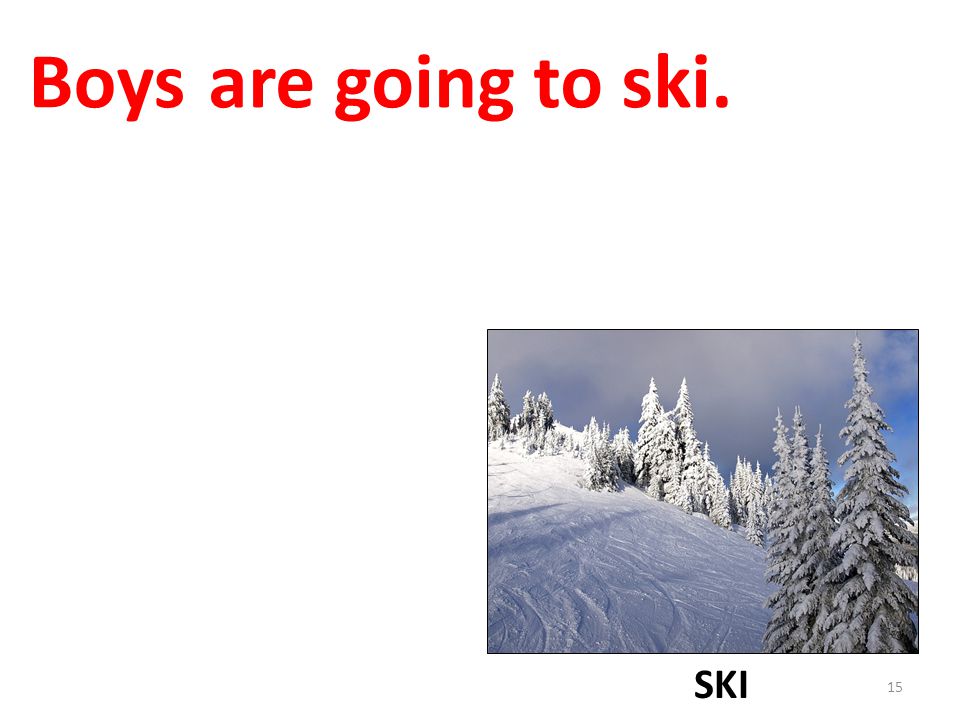 Boys are going to ski. SKI
