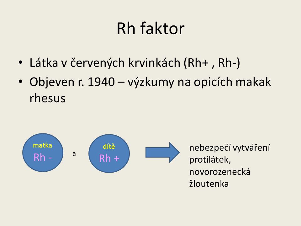 Rh faktor Látka v červených krvinkách (Rh+ , Rh-)