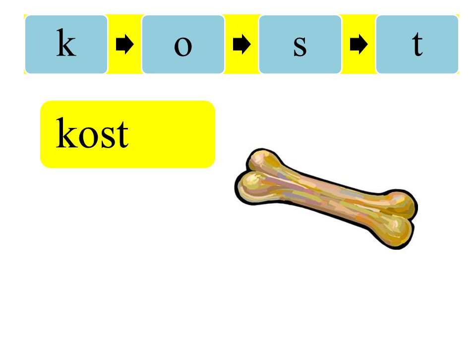 k o s t kost