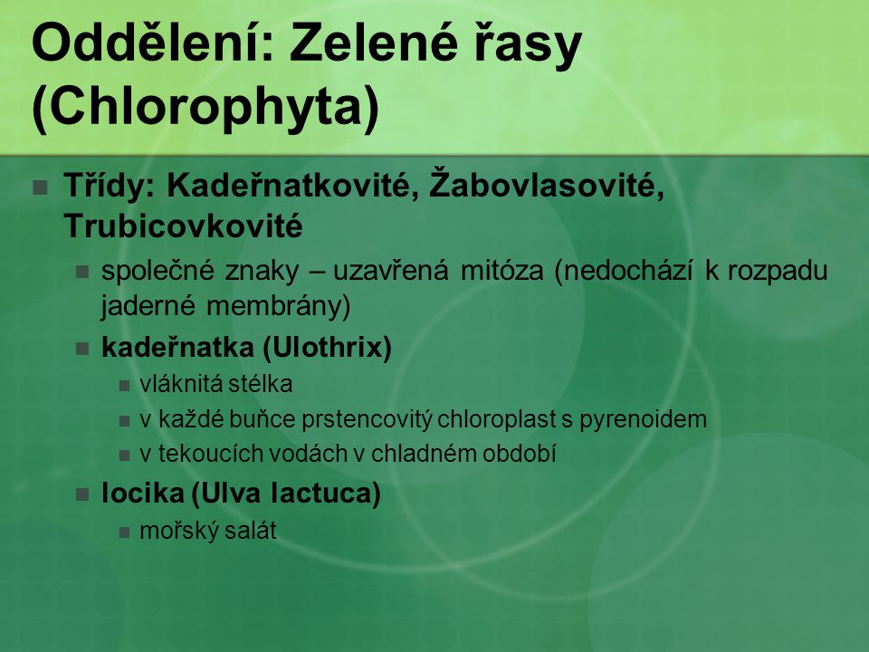 Oddělení: Zelené řasy (Chlorophyta)