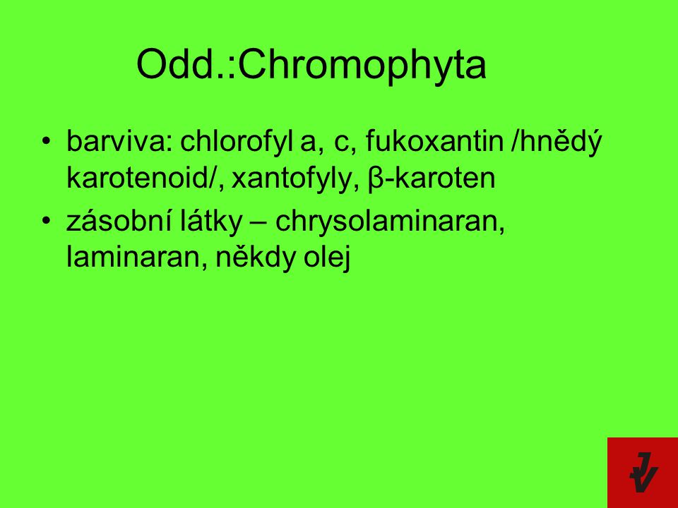 Odd.:Chromophyta barviva: chlorofyl a, c, fukoxantin /hnědý karotenoid/, xantofyly, β-karoten.