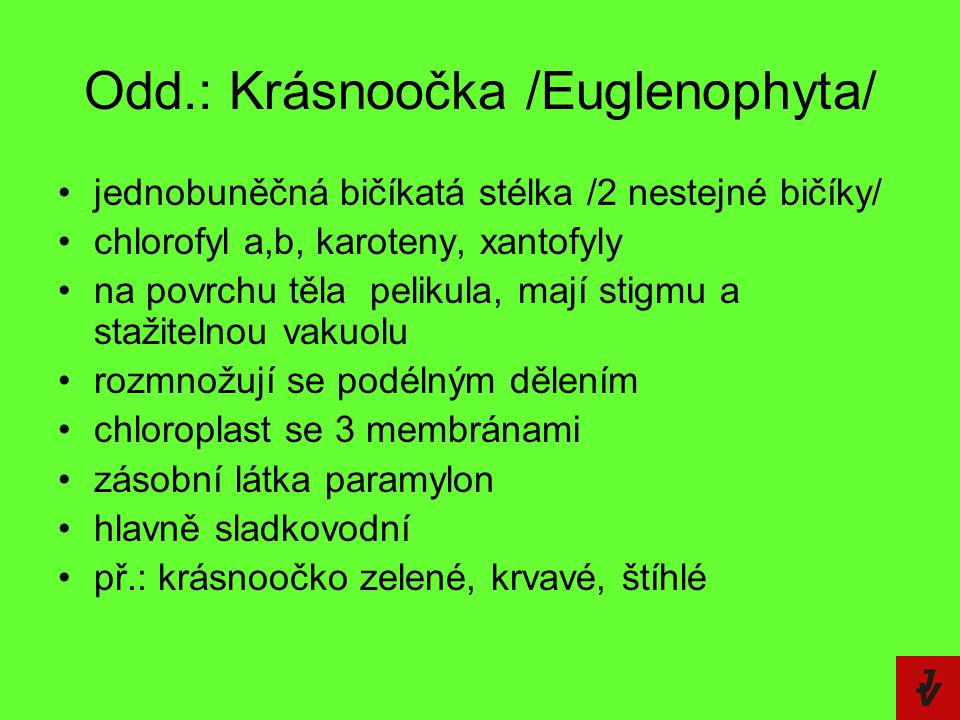 Odd.: Krásnoočka /Euglenophyta/