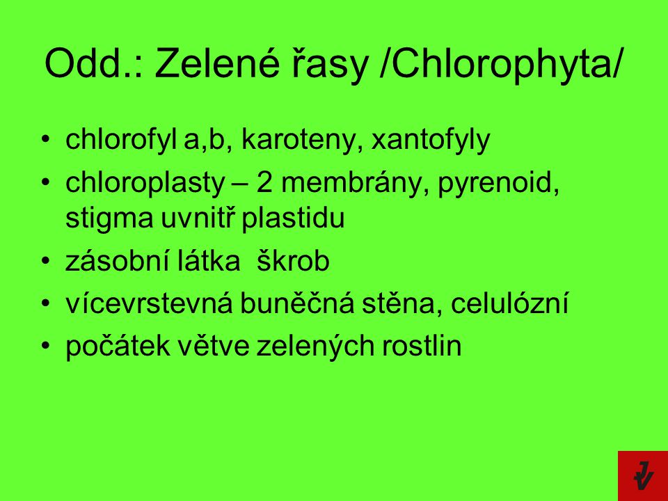 Odd.: Zelené řasy /Chlorophyta/