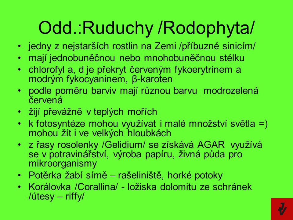 Odd.:Ruduchy /Rodophyta/