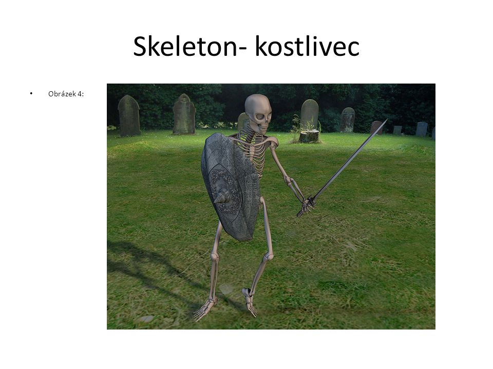 Skeleton- kostlivec Obrázek 4: