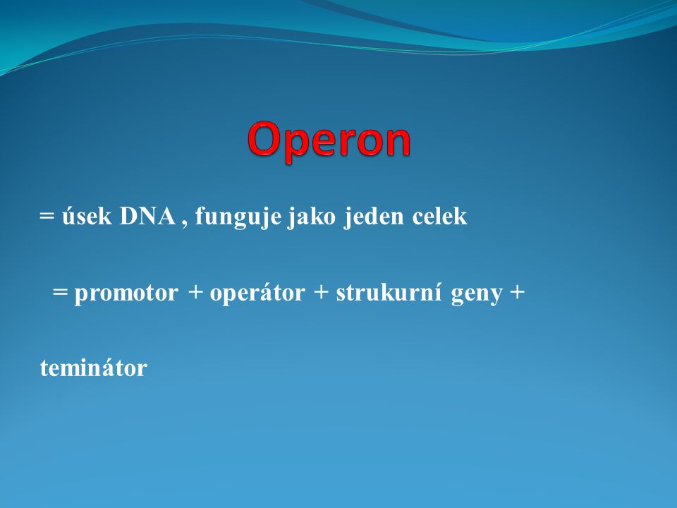Operon = úsek DNA , funguje jako jeden celek