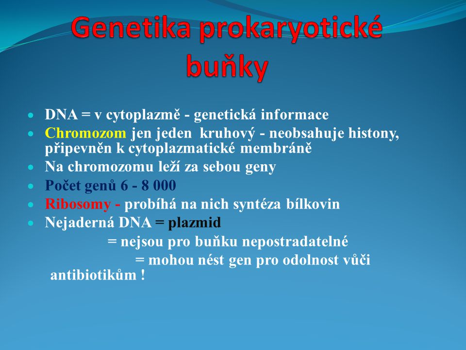 Genetika prokaryotické buňky