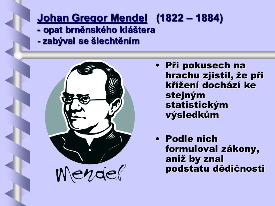 Johan Gregor Mendel (1822 – 1884) - opat brněnského kláštera - zabýval se šlechtěním