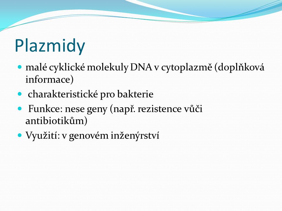 Plazmidy malé cyklické molekuly DNA v cytoplazmě (doplňková informace)
