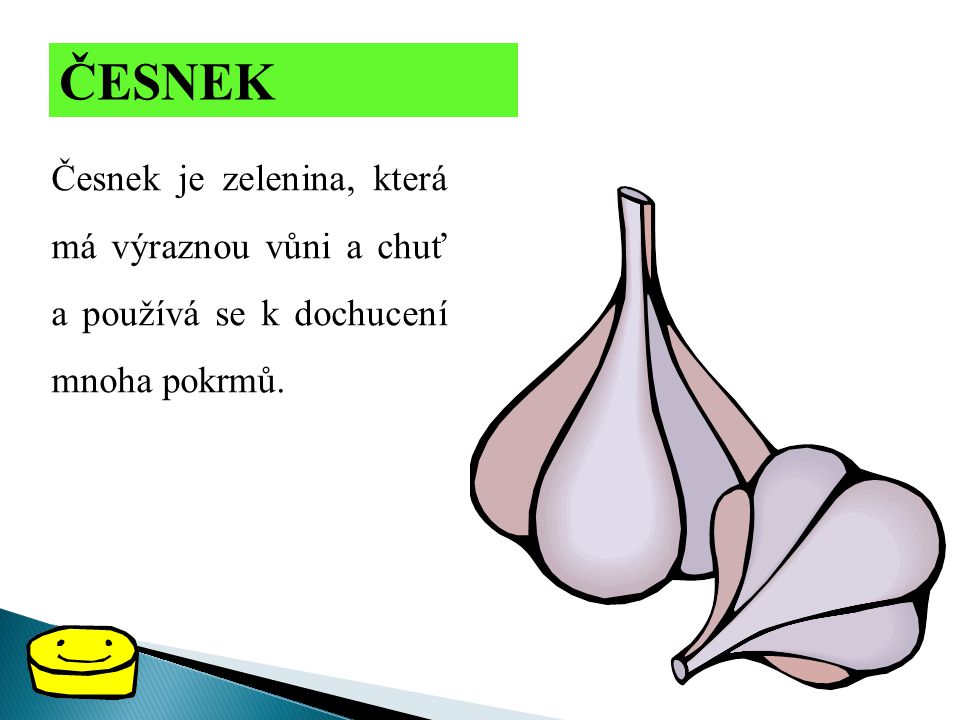 ČESNEK Česnek je zelenina, která má výraznou vůni a chuť a používá se k dochucení mnoha pokrmů.