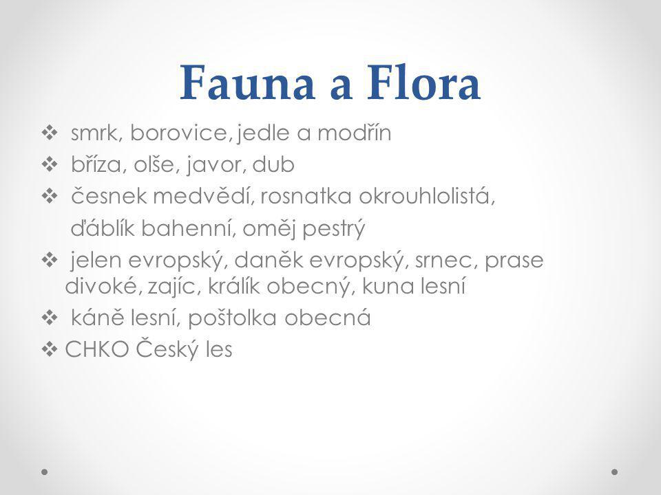 Fauna a Flora smrk, borovice, jedle a modřín bříza, olše, javor, dub