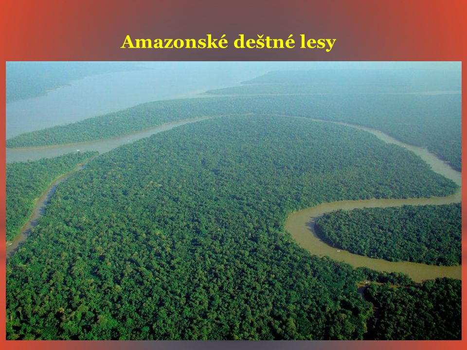 Amazonské deštné lesy