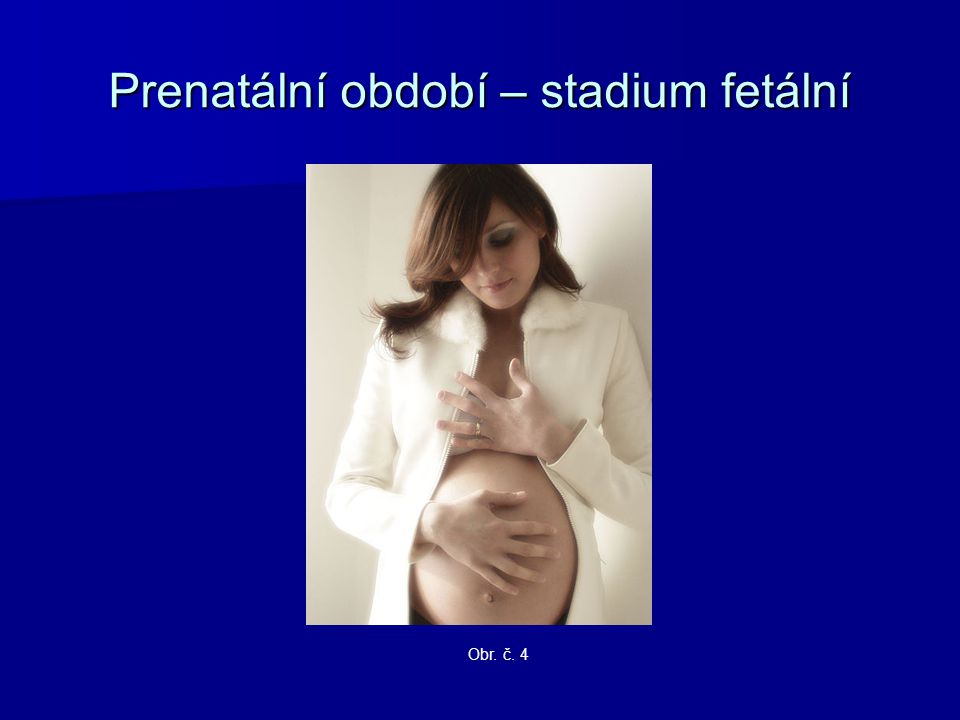 Prenatální období – stadium fetální