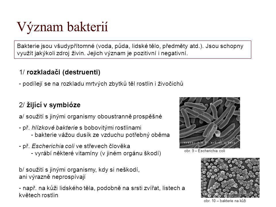 Význam bakterií 1/ rozkladači (destruenti) 2/ žijící v symbióze