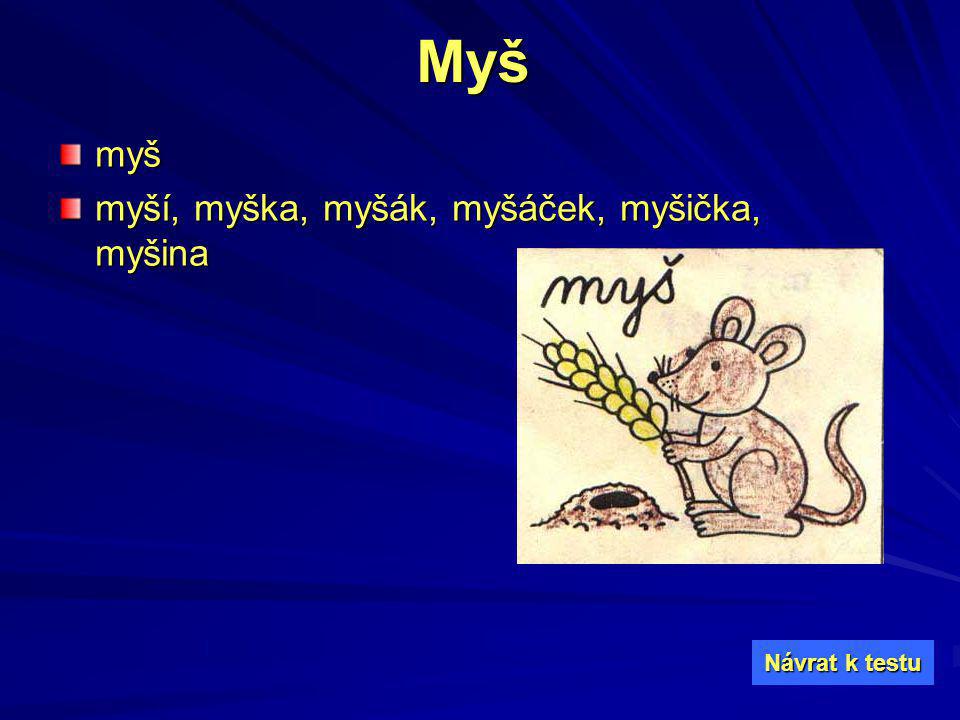 Myš myš myší, myška, myšák, myšáček, myšička, myšina Návrat k testu