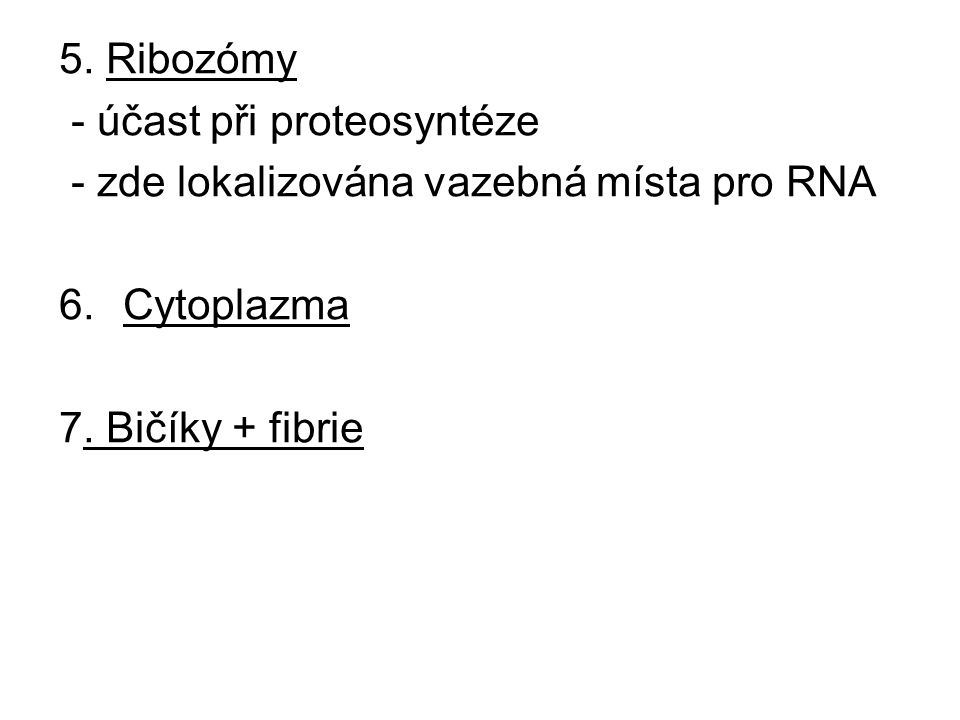 5. Ribozómy - účast při proteosyntéze. - zde lokalizována vazebná místa pro RNA.