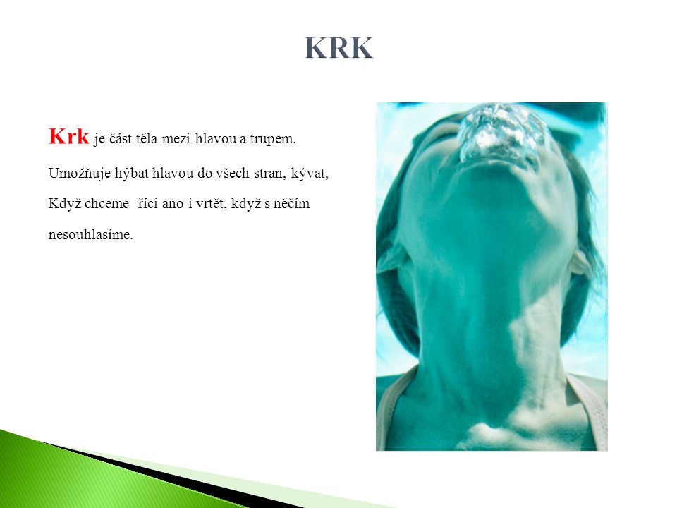 KRK Krk je část těla mezi hlavou a trupem.