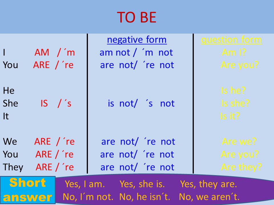 TO BE Short answer negative form question form