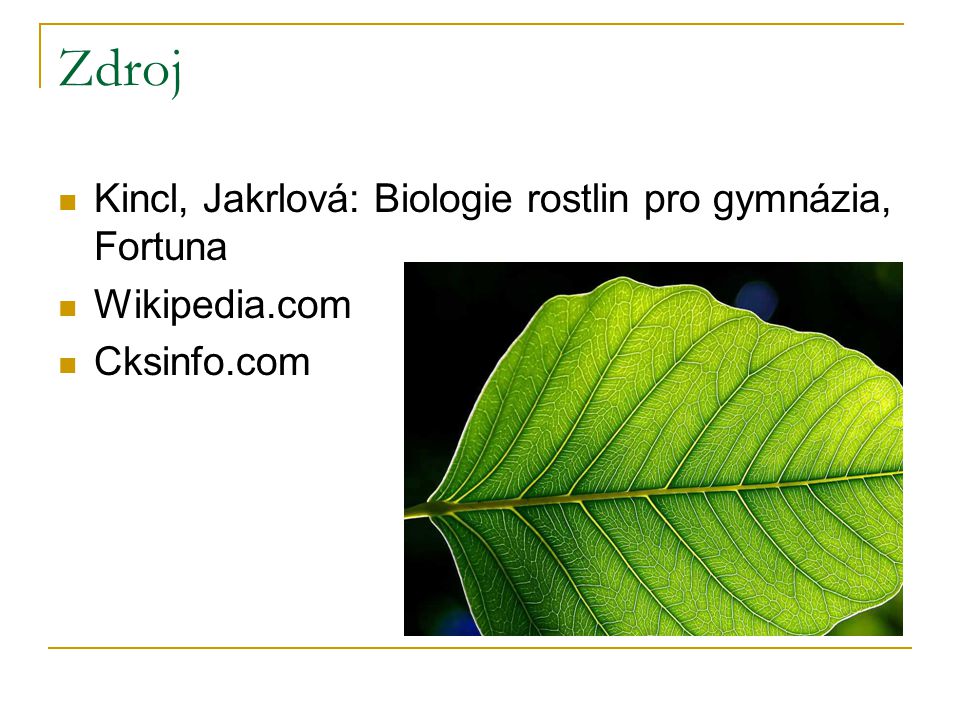 Zdroj Kincl, Jakrlová: Biologie rostlin pro gymnázia, Fortuna
