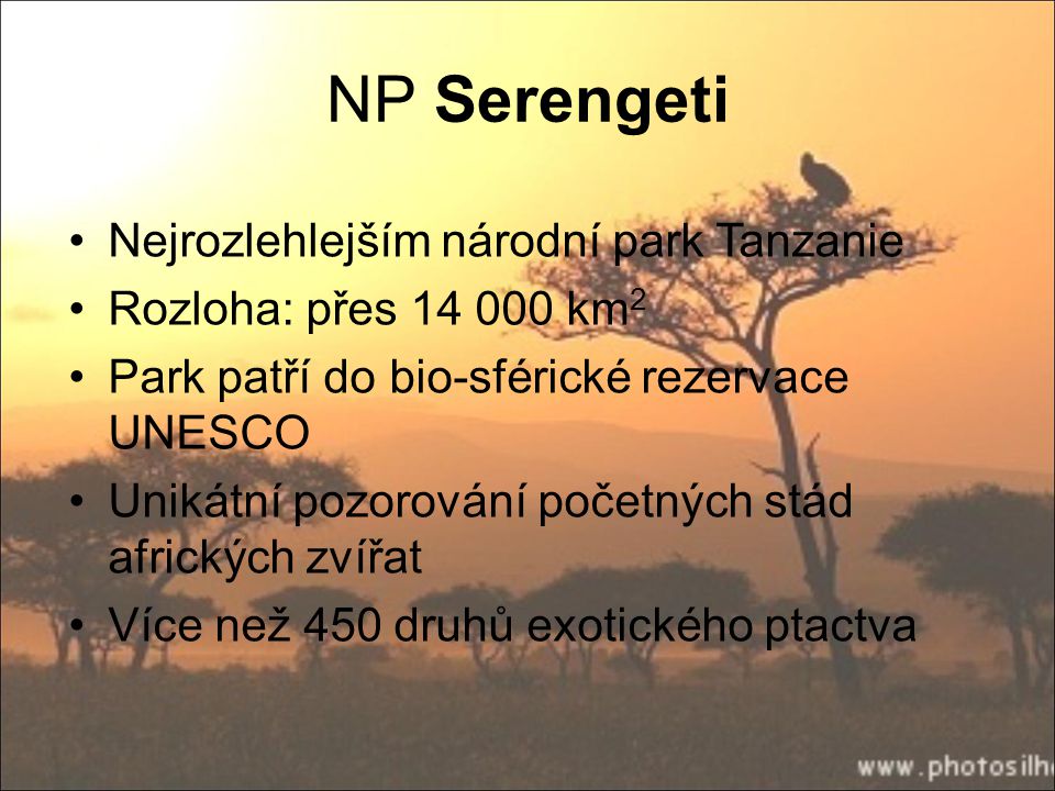 NP Serengeti Nejrozlehlejším národní park Tanzanie