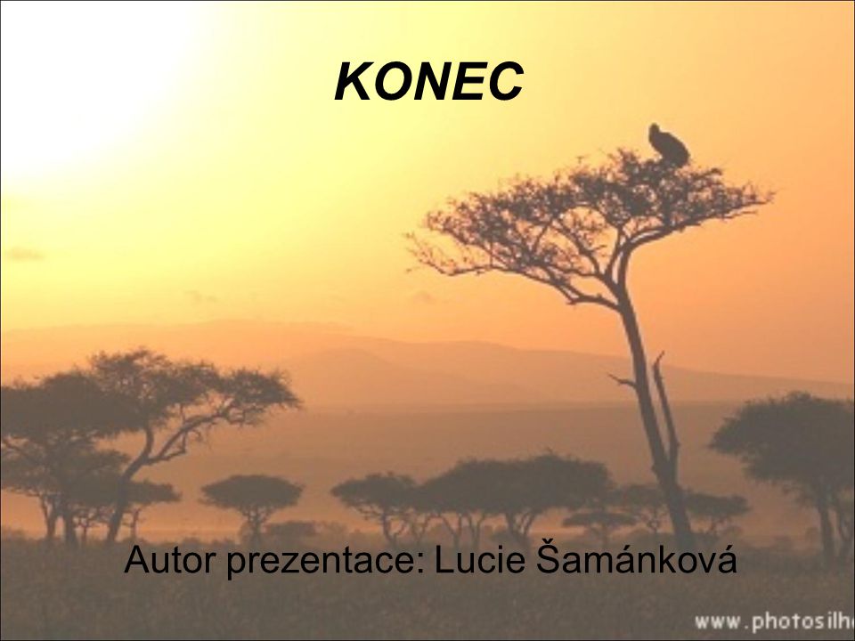 Autor prezentace: Lucie Šamánková